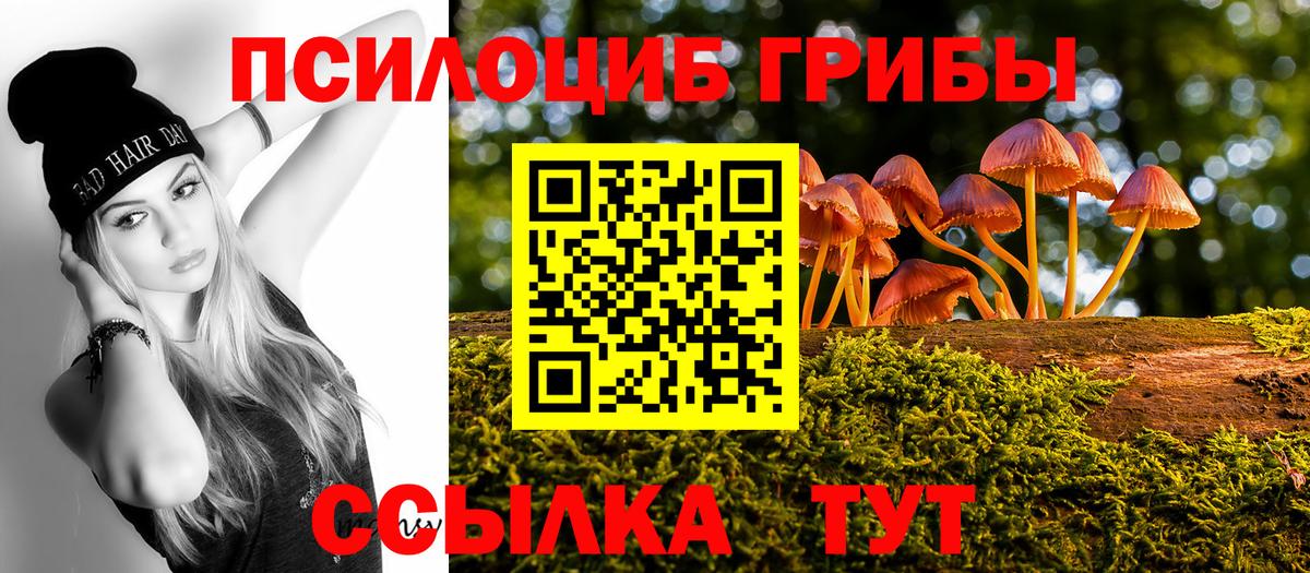 Карачаевск  Галлюциногенные грибы MAGIC MUSHROOMS  Вход с VPN 