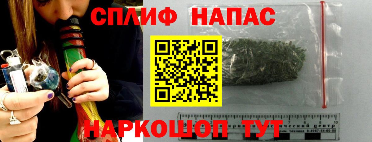 Псилоцибиновые грибы Карачаевск